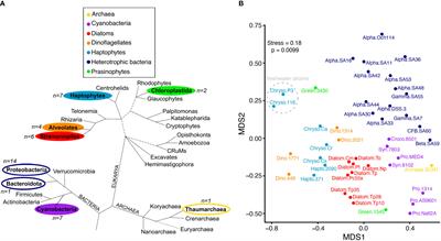 Chemotaxonomic patterns in intracellular metabolites of marine microbial plankton